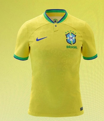Apenas uma camisa da Seleção Brasileira - Jornal Empoderado - A Voz dos  Invisíveis